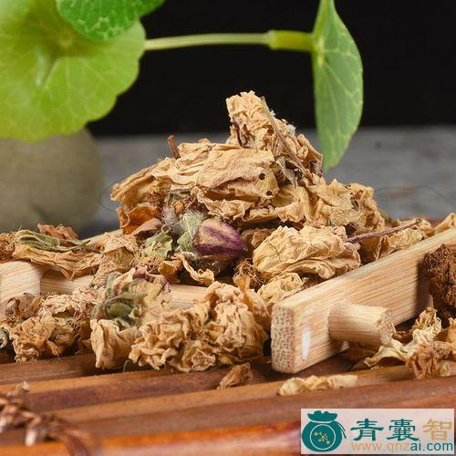 中药材蔷薇花图片