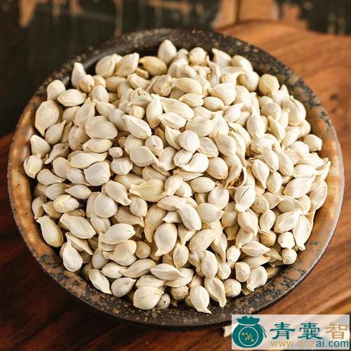 中药材蕤核图片