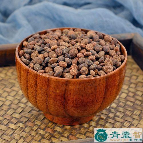 蕤核仁的性状性味归经以及功效用法和注意事项-青囊智