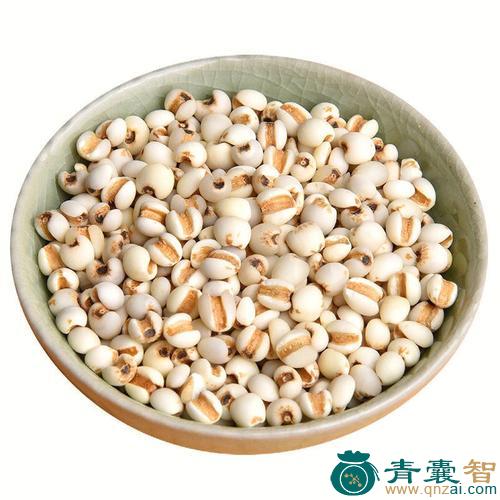 中药材薏米图片