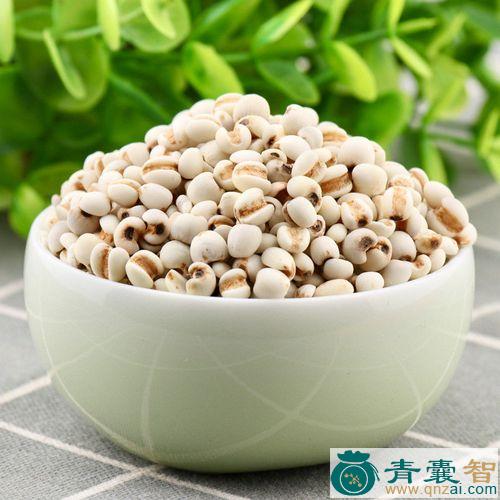 中药材薏米蔃图片