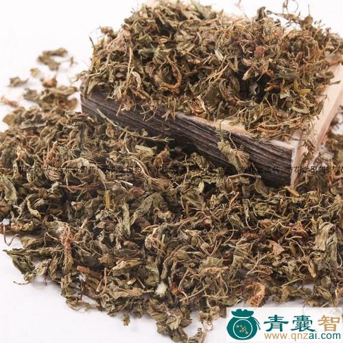 中药材薝卜花图片