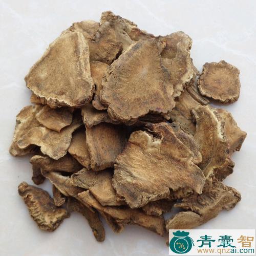 藏木香的性状性味归经以及功效用法和注意事项-青囊智