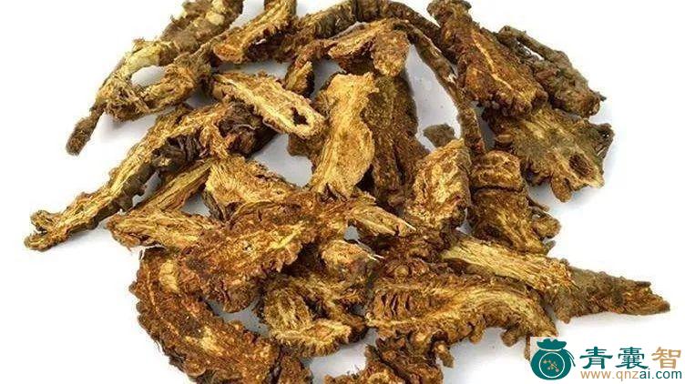 中药材藏鮡胆图片