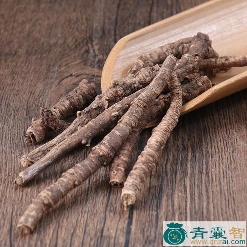 藏黄连的性味归经以及功效用法-青囊智