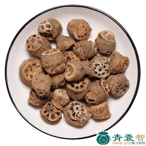 中药材藕蔤图片