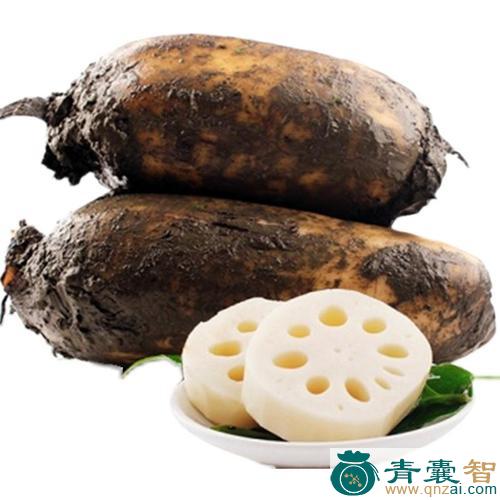 藕蔬菜的性状性味归经以及功效用法-青囊智