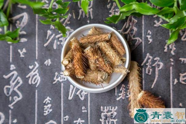 中药材藤五甲图片