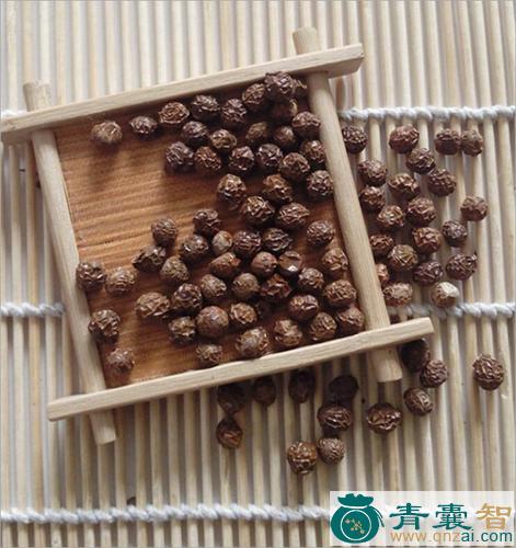 中药材藤桐子图片