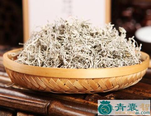 藤茶的性味归经以及功效用法-青囊智
