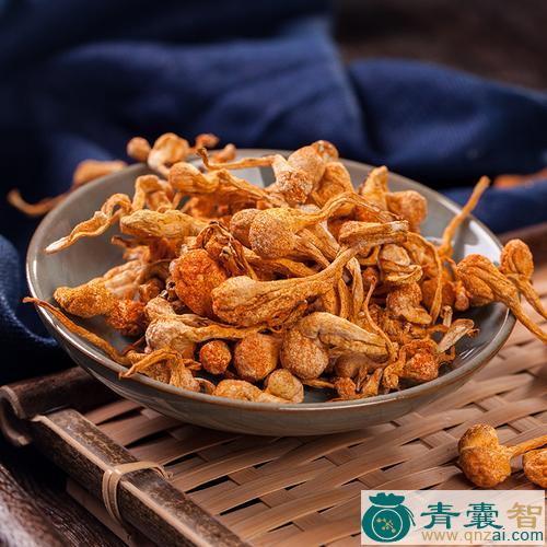 中药材藩篱花图片