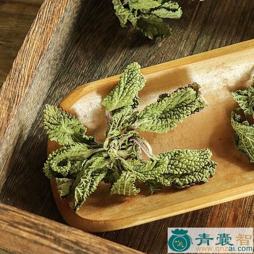 中药材蘑菇草图片