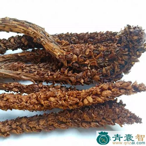 中药材虎狼草图片