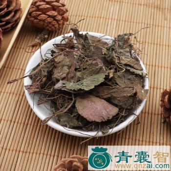 中药材虎草图片