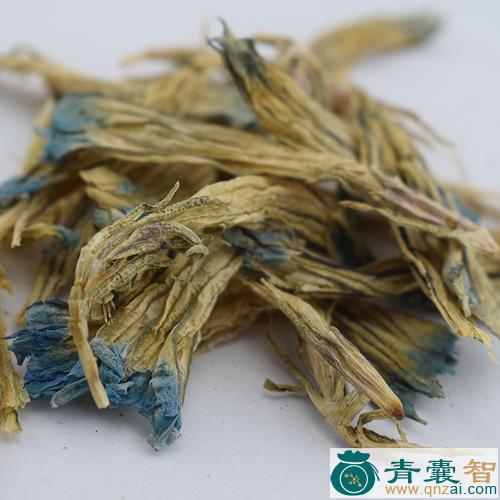 虞美人的性味归经以及功效用法-青囊智