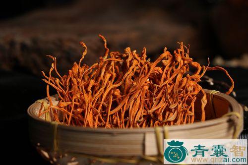 中药材虫花图片