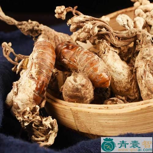 中药材虫蝉图片