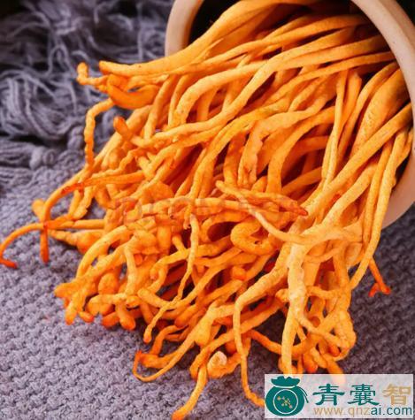 中药材虫鸟花图片