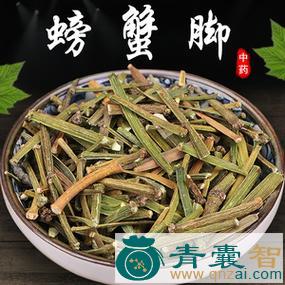中药材虾脚寄生图片