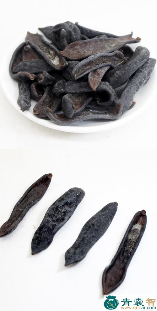 蚀肬的性状性味归经以及功效用法和注意事项-青囊智