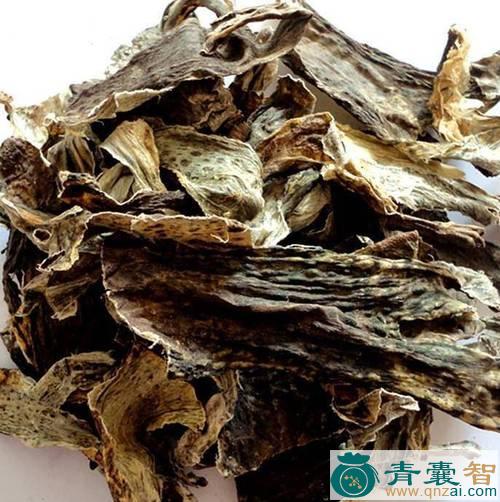 中药材蚌兰衣图片