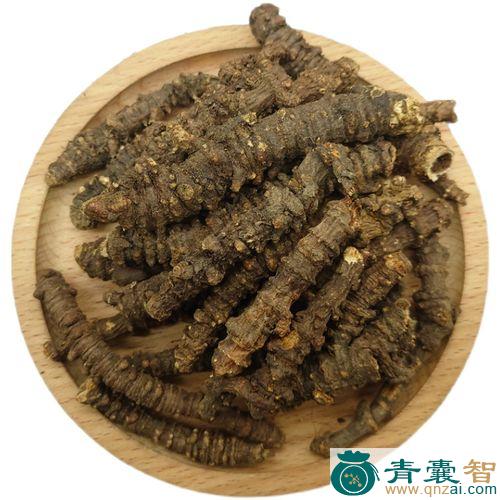 中药材蚕羌图片