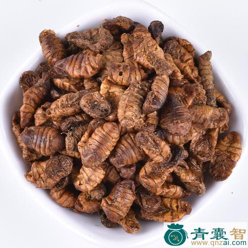 中药材蚕蜕图片