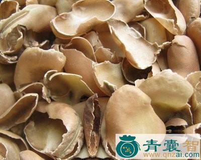 中药材蚕豆壳图片