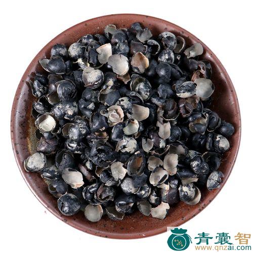 中药材蚕豆黑壳图片