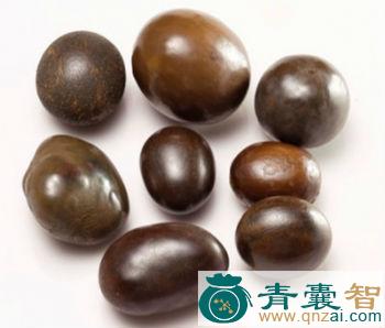 蚟孙的性状性味归经以及功效用法和注意事项-青囊智