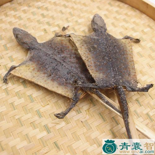 中药材蚧蛤蟆图片