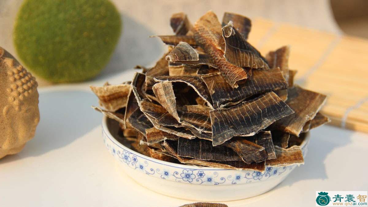 中药材蚯蚓草图片