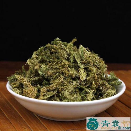 中药材蚵筋图片