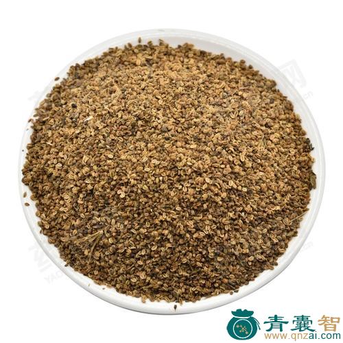 中药材蛇交子图片
