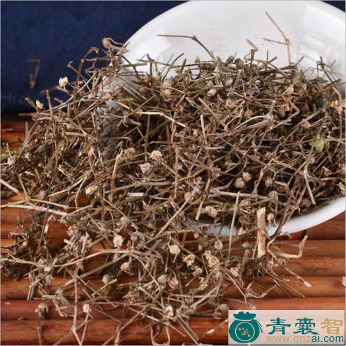 中药材蛇咬草图片