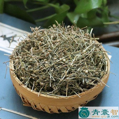 中药材蛇啄草图片