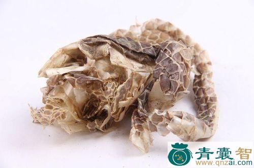 中药材蛇喳口图片
