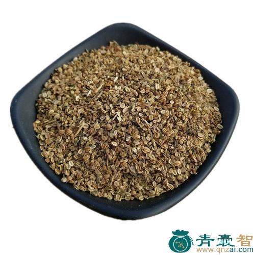 中药材蛇床实图片
