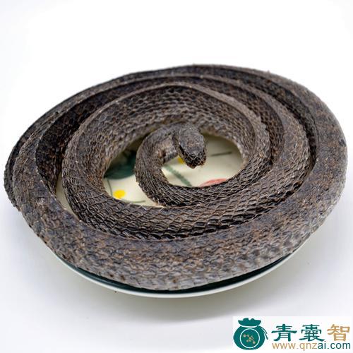 中药材蛇开口图片