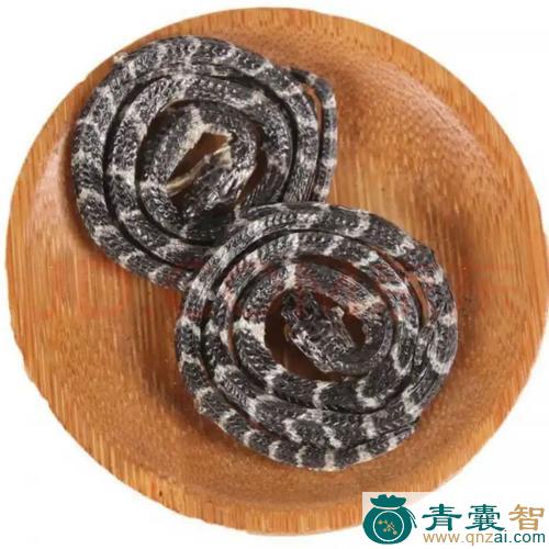 中药材蛇百子图片