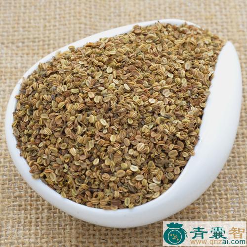 中药材蛇粟图片