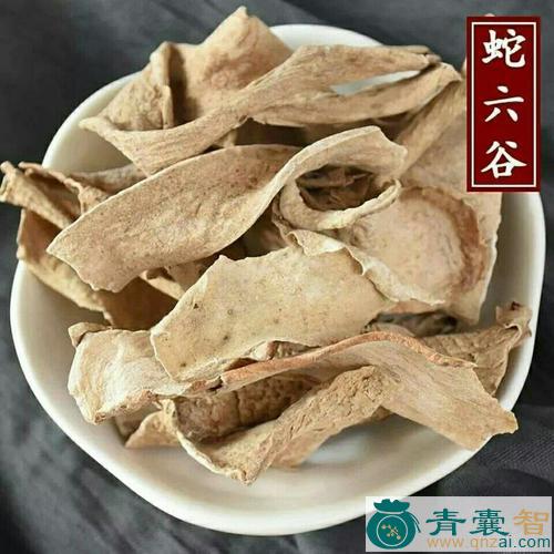 中药材蛇芋图片
