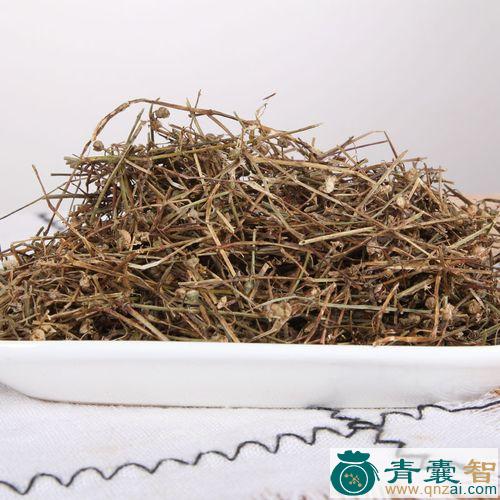 中药材蛇草图片