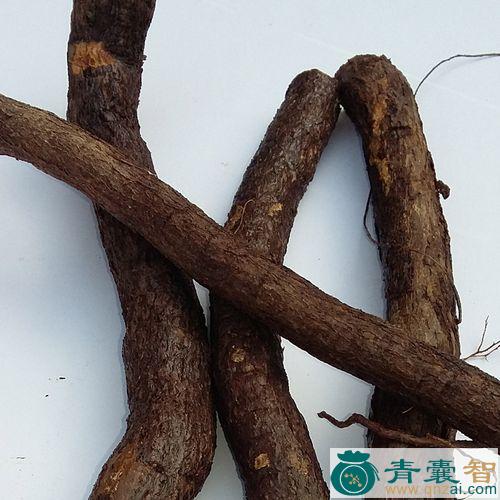 中药材蛇葡萄根图片
