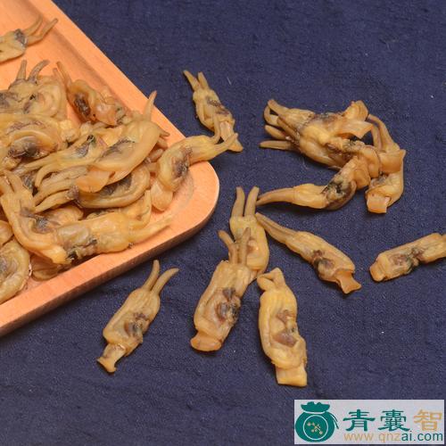 中药材蛏壳图片