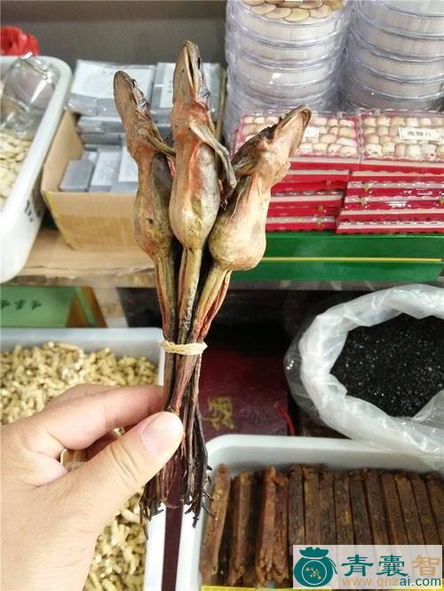中药材蛙图片