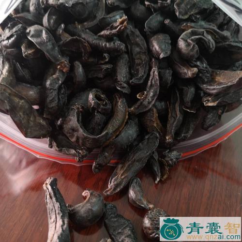 中药材蛞蜗图片