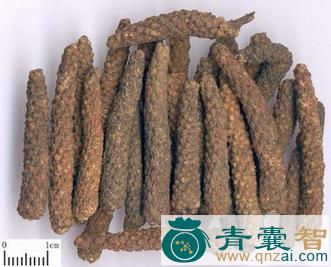 蛤蒟的性状性味归经以及功效用法-青囊智