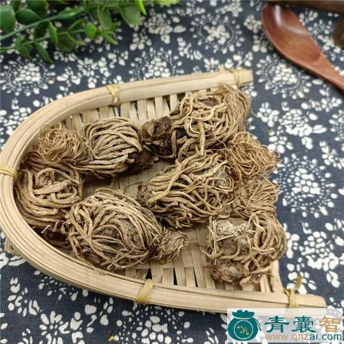中药材蜂子七图片