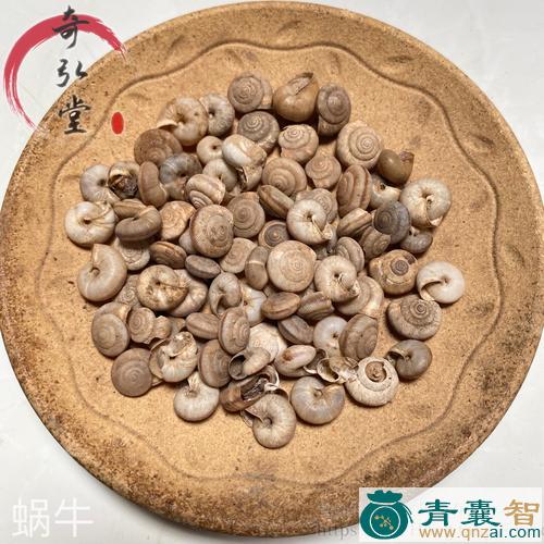 中药材蜗赢图片